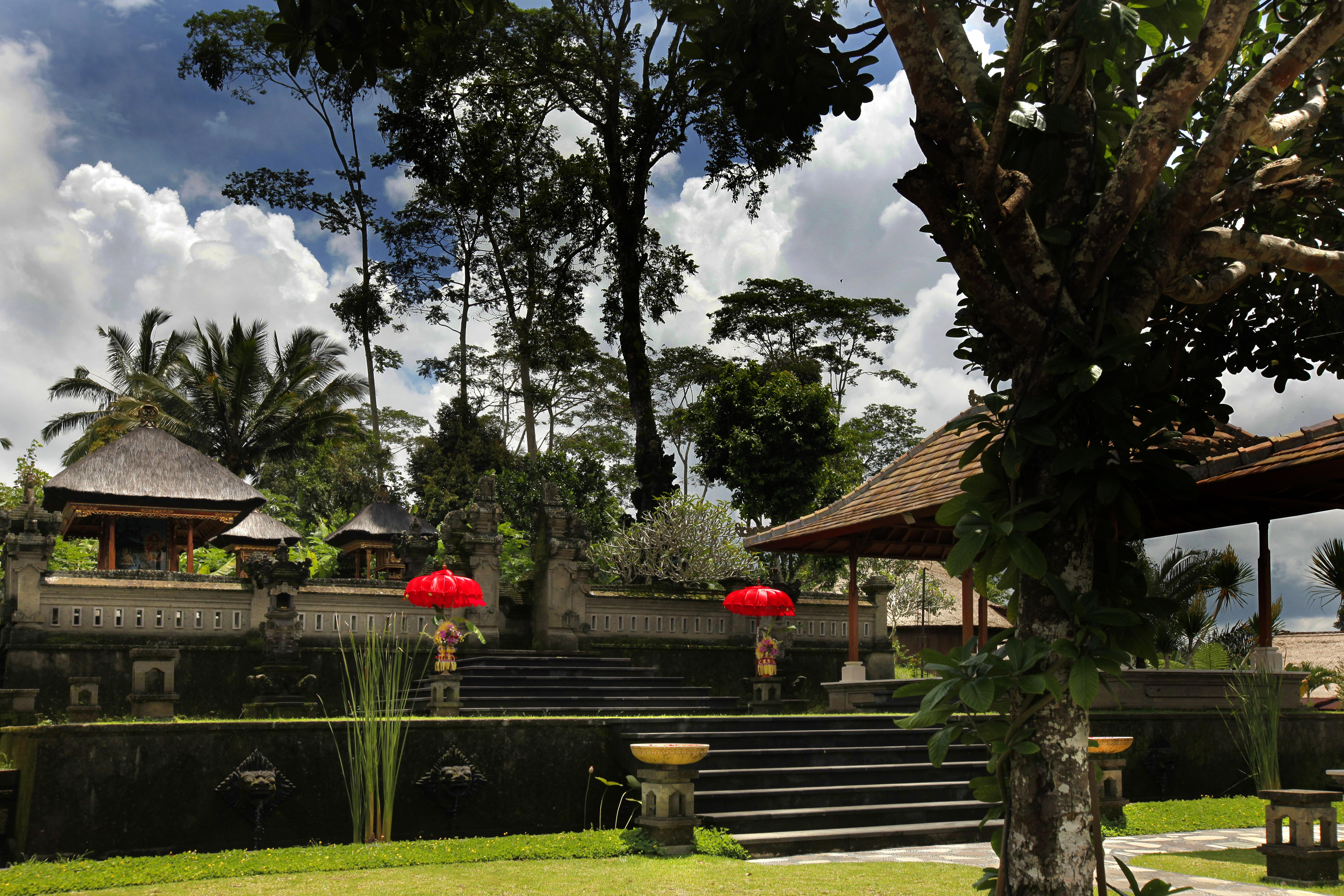 Bagus Jati Health & Wellbeing Retreat Otel Tegallalang  Dış mekan fotoğraf